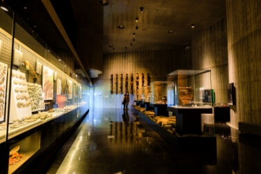 函館市縄文文化交流センター